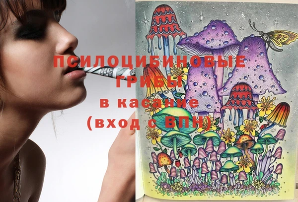 СК Кулебаки