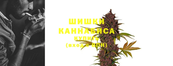 ALPHA PVP Куйбышев