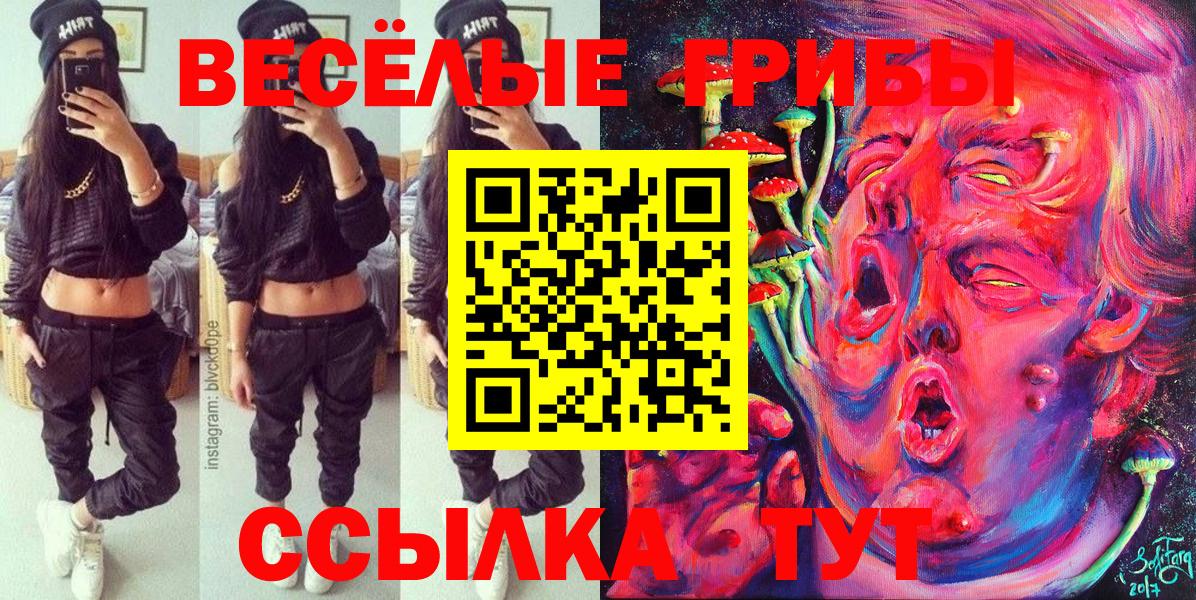 Галлюциногенные грибы Psilocybe Учалы