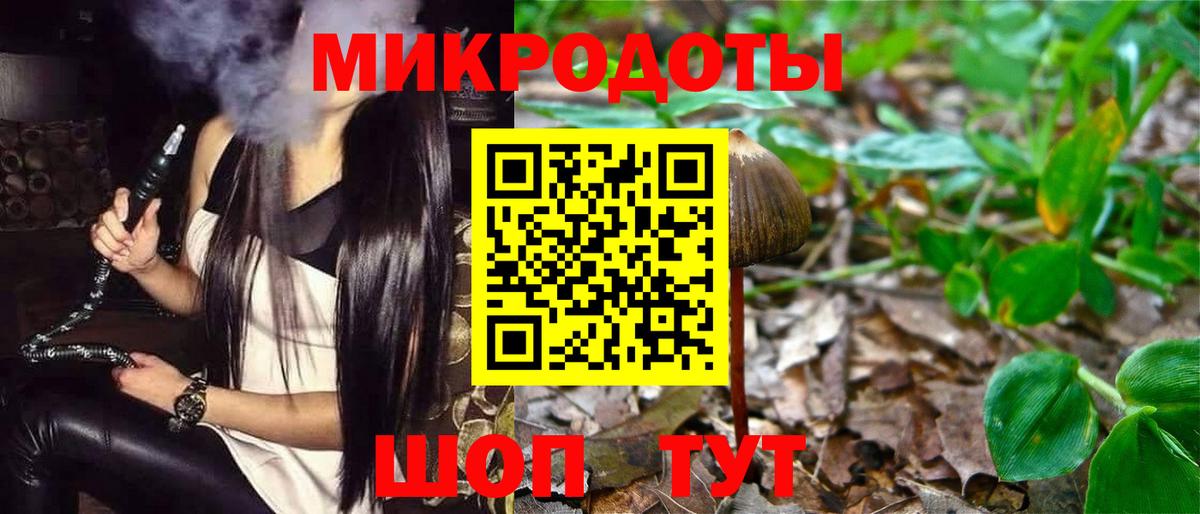 Галлюциногенные грибы Psilocybe Учалы