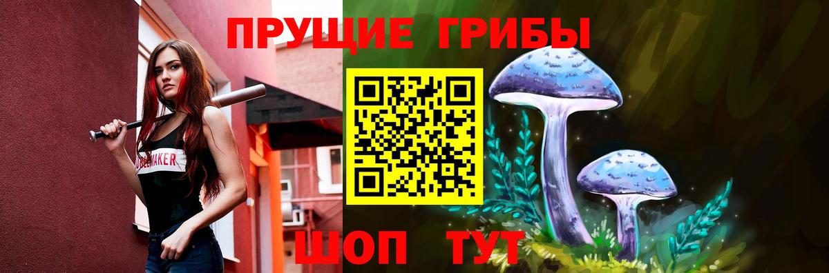 Галлюциногенные грибы Psilocybe  Вход с VPN  Учалы  Псилоцибиновые грибы мицелий 